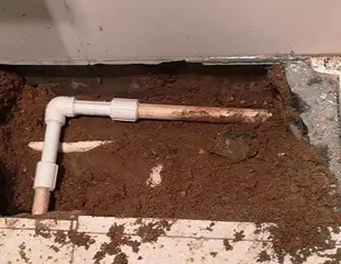 宁安测漏水哪家好