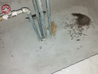 宁安卫生间测漏水价格明细