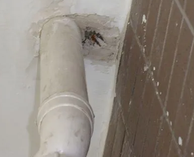 宁安漏水检测哪家好